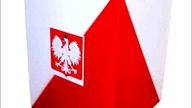WYBORY 2014 elektorat PO PIS PSL TR SLD NP SP RN parodia Theatrum Illuminatum
