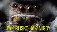 Nowe obiektywy, które potrafią WIĘCEJ! inny wymiar STREFY MACRO