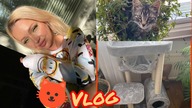 Vlog - Powrót do SE / porządki /zakupy dla Kota