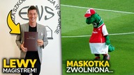 Robert Lewandowski ZOSTAŁ MAGISTREM! Smutna historia...  ZWOLNILI maskotkę Arsenalu!