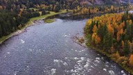 Best 4K Drone Footage of Autumn in Siberia - Ambient Drone Film about Beauty of
