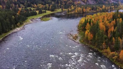 Best 4K Drone Footage of Autumn in Siberia - Ambient Drone Film about Beauty of