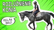 Rozluźnienie Konia