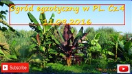 181.     Ogród egzotyczny w PL.  Cz. 4 11. 09. 2016
