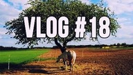 KWIETNIOWY VLOG  Vlog #18 