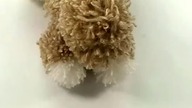 Zr&oacute;b sobie malutkiego pieska z resztek wł&oacute;czki, z pompon&oacute;w DIY #shorts #pies #pompon #jakzrobic