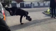 Kamerzysta ninja