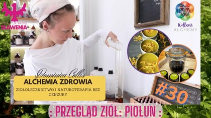 Alchemia Zdrowia - ziołolecznictwo i naturoterapia bez cenzury: #30 Przegląd ziół: Piołun. 