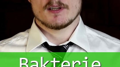 Bakterie