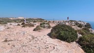 Najwyższe klify 250 m. n. p. m, Dingli Cliffs, Malta