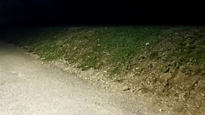 Nocne Góry w Krynicy Zdroju! Spacer Leśny z Rubikiem! Sharp, Sarmata i pies! Wyprawa pod górę!