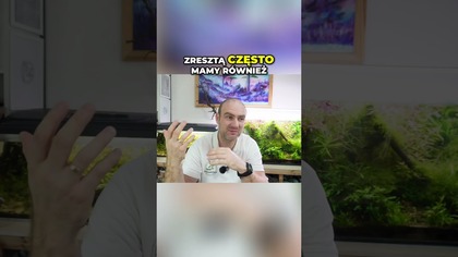 Najtańsze CO2 do akwarium?  Bimbrownia DIY!