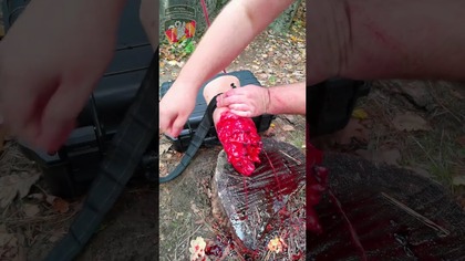 Tamowanie masywnych krwotoków w warunkach bojowych | Trauma Leg LRS + staza taktyczna SICH #TCCC