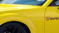 dodge challenger #automobile #dodge #dodgechallenger #supercars #viralvideo