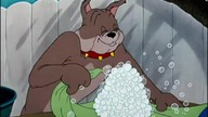 tom and jerry
