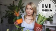 HAUL ROŚLINNY- Zakupy online, Lidl, B&Q