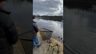 Końcówka holu dużego Karpia