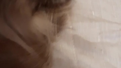 Koty są w ch*j urocze 