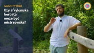 Czy herbata z Afryki może być dobra? | Czajnikowy.pl