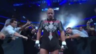 Fiodor Jemieljanienko vs Tim Sylvia (M-1 Global)