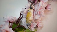 Królik magnes na lodówkę DIY | FIMO | Rabbit fridge magnet