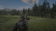Red Dead Redemption 2 RTX 3090