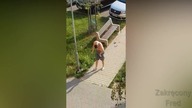 Jak Zachowują Się LUDZIE PO NARKOTYKACH #1 (KOMPILACJA 18+)