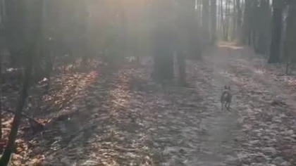 24bdb37e-a698-4763-97c6-3f0c403a50f3