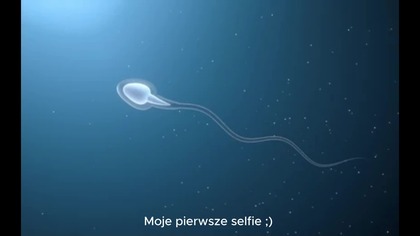 Pozycja Nr.  1777 ...  15/01/2026 ...