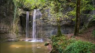 Relaxing Music Water and Birds in the Forest