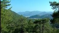 Travel: Marmaris, Turkey - Travel shorts