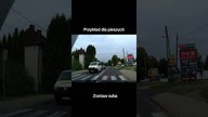 Gołąb