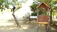 Parkour and Free Running YT