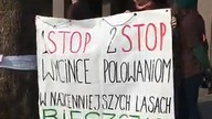 Protest pod siedzibą Las&oacute;w Państwowych w Krośnie