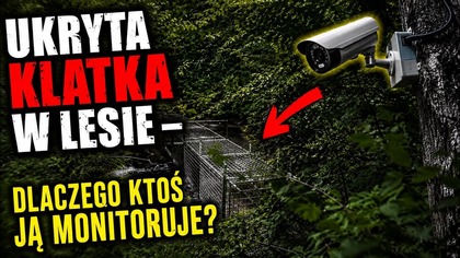 UKRYTA KLATKA W LESIE Z MONITORINGIEM/ DO CZEGO SŁUŻY?