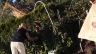 ja zasuwam jak dzika świnia a oni konsultowaliśmy w Cieszynie