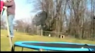 Drabina i trampolina