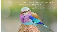Audycja Wyzwolony - Jay Dalrymple