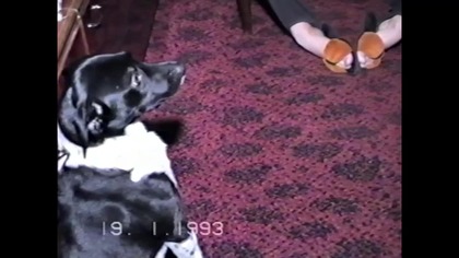 Mix......VID-1743969001333