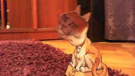 Cat Optical Illusion Crazy Optical Illusions