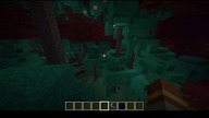 Two forests next to each other #minecraft #gaming #game #Short #Short #Bruh #Nether