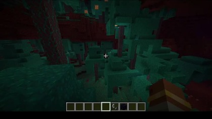 Two forests next to each other #minecraft #gaming #game #Short #Short #Bruh #Nether