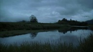 The Killing [s01e01] pl