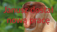 Janusz w różnych Zawodach