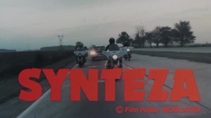 Synteza (1983)