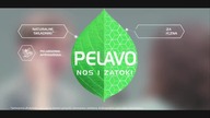 **N Fabuła - niektóre reklamy + zapowiedź (17. 11. 2020)
