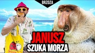 JANUSZ NA WAKACJACH SZUKA MORZA W SZCZECINIE