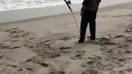 Tymczasem na plaży