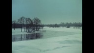 Wierna rzeka (1983)