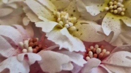 Sekrety moich kwiatów z materiału 